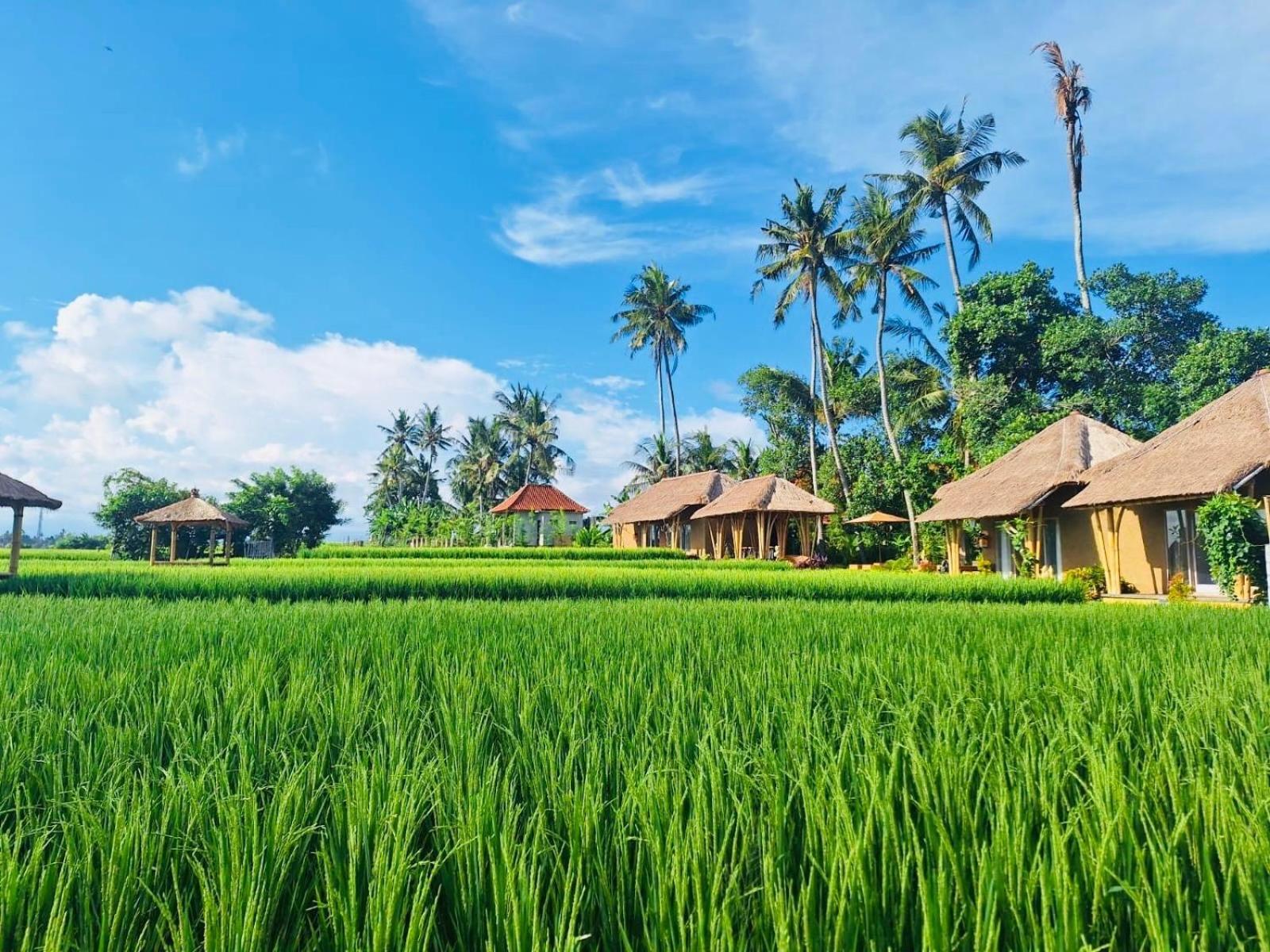 Rumah Kita Ecolodge Ubud Extérieur photo