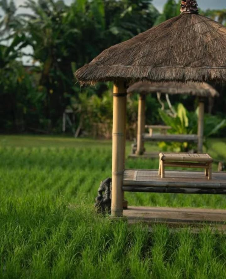 Rumah Kita Ecolodge Ubud Extérieur photo